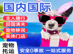 西宁机场物流国际宠物托运 【国